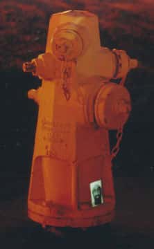 Glow-in-the-dark Osama
